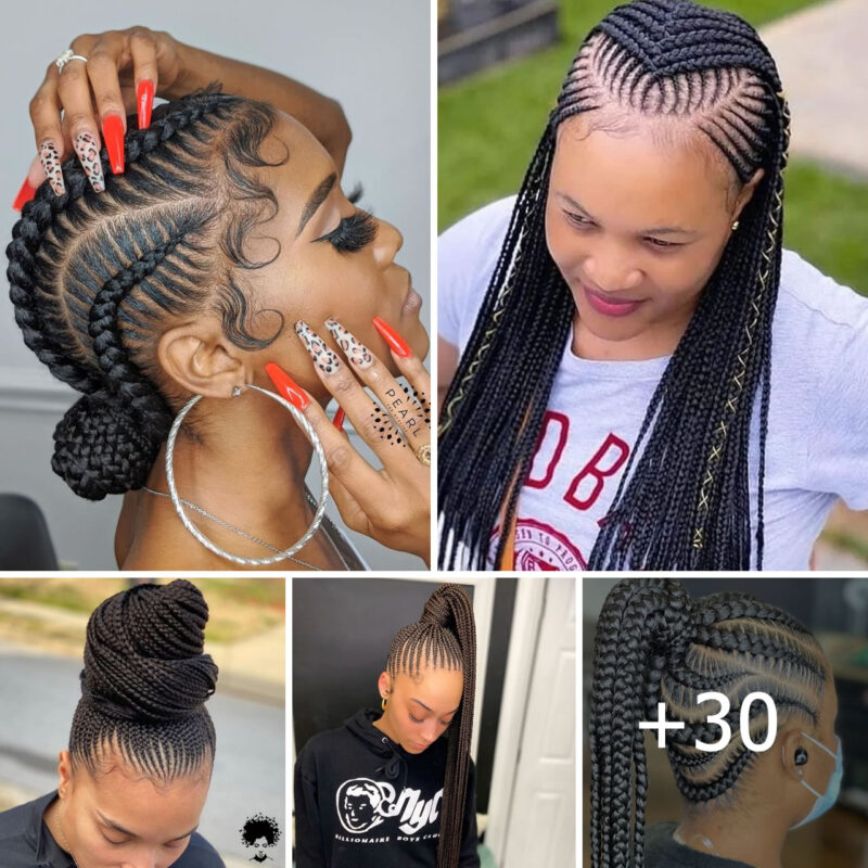 30 Top Cornrow and Scαℓp Braι̇d Stүℓeѕ for 2024: Chι̇c and Trєndү ℒooкѕ.