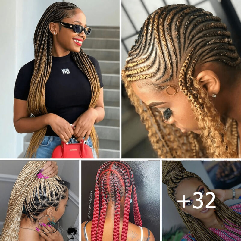 Beautiful And Stunning Colourful Braids Hairstyles You Should See
