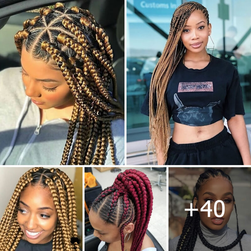 “From Classic to Contemporary: Braids That Are Turning Heads This Year!”