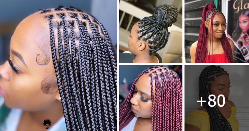 Latest Knotless Braids Hairstyles for 2024 | Styles for All Hair Types