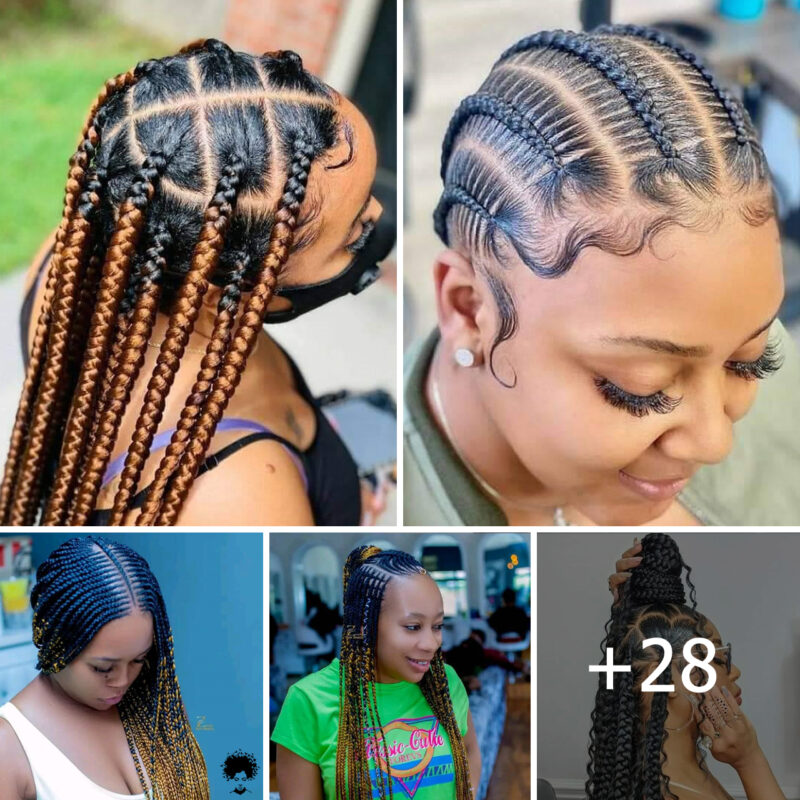 Knotted with Style: A Deep Dive into Exquisite Braided Hairstyles for Women