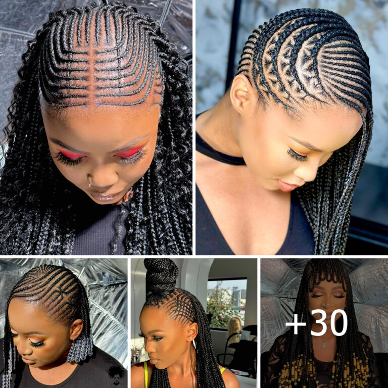 Fresh Looks for 2024: Inspiring Pictures of the Braided Hairstyles