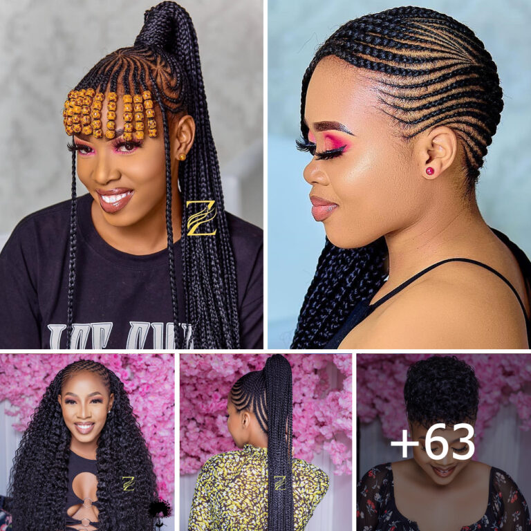2024 Braids Hairstyles Gallery: Braided Styles to Rock This Year!