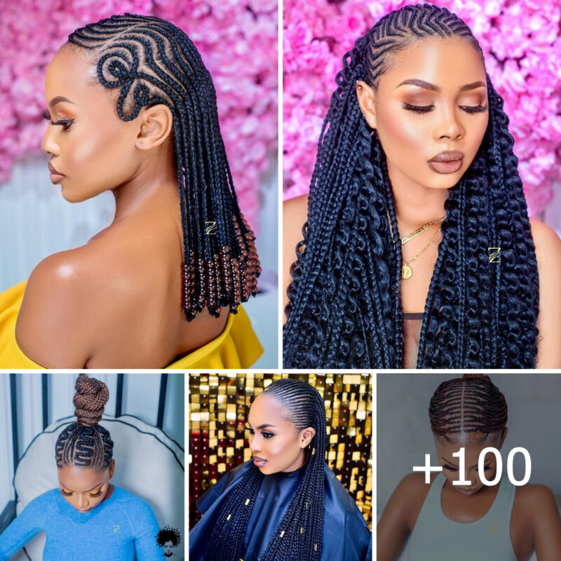100 Braided Hairstyles for Women: Different Types of Braids