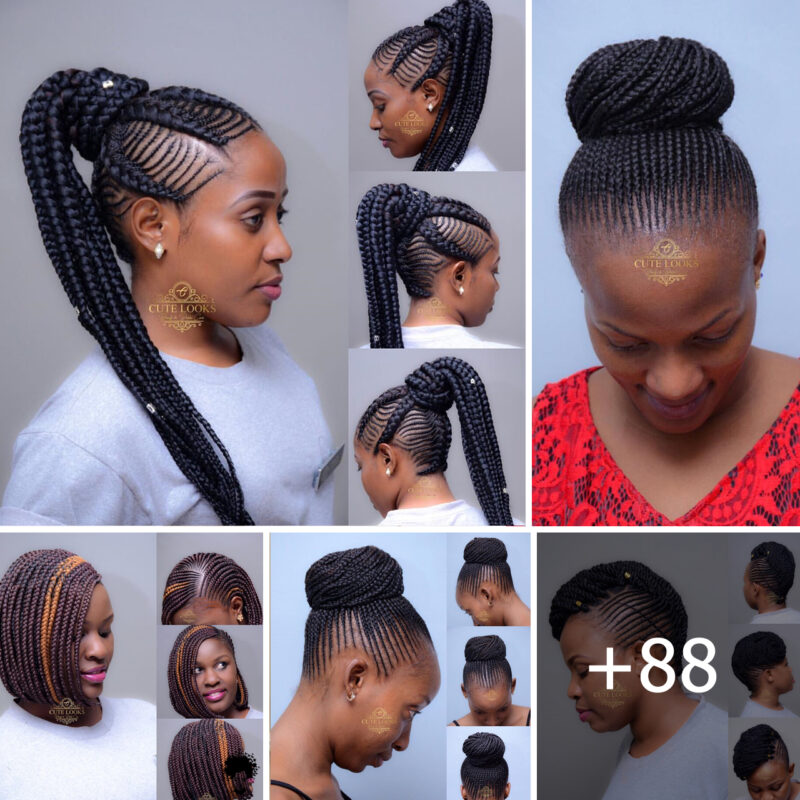 +88 Traditional Braids Designs & Hairstyles to Try this Season