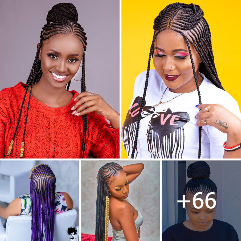 +66 Beautiful and Creative Braids to Try for a Fresh Hair Makeover