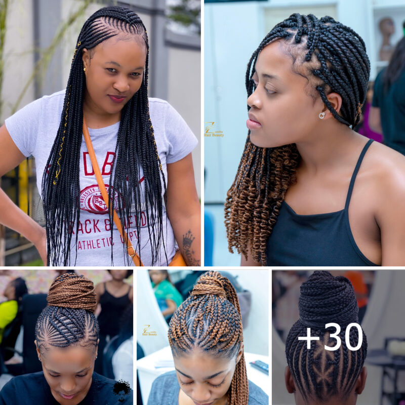 30+ Must-Try Braided Hairstyles for 2024