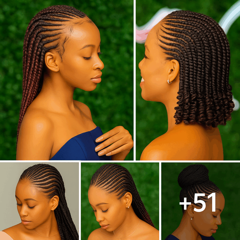 [GALLERY] – Braided Hairstyles 2024 Pictures