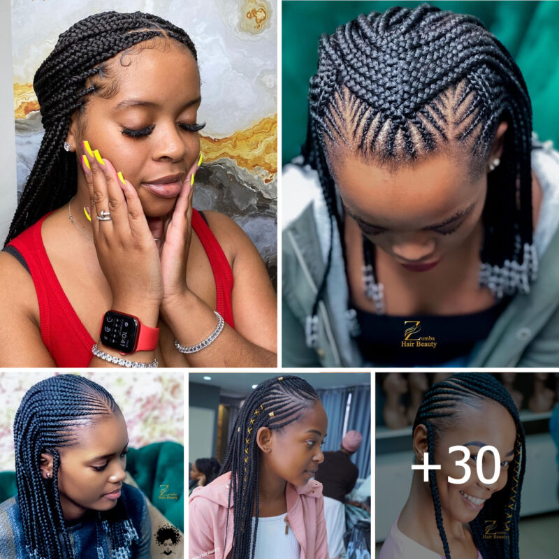 Fashionably Braided: Elevate Your Look with These Stylish Hairstyles