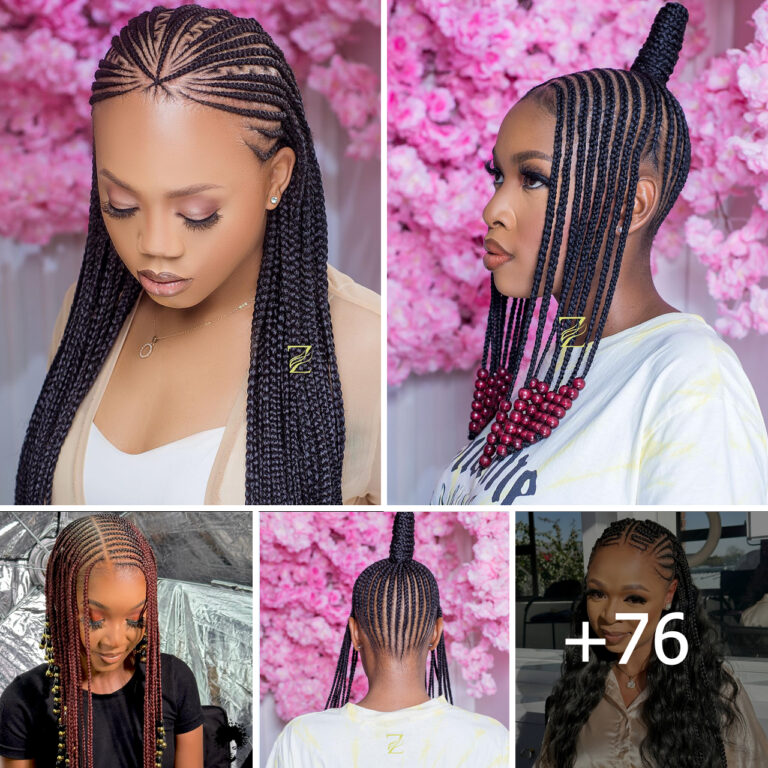 [GALLERY] – African Braids Hairstyle Pictures: Inspiration for Your Next Look