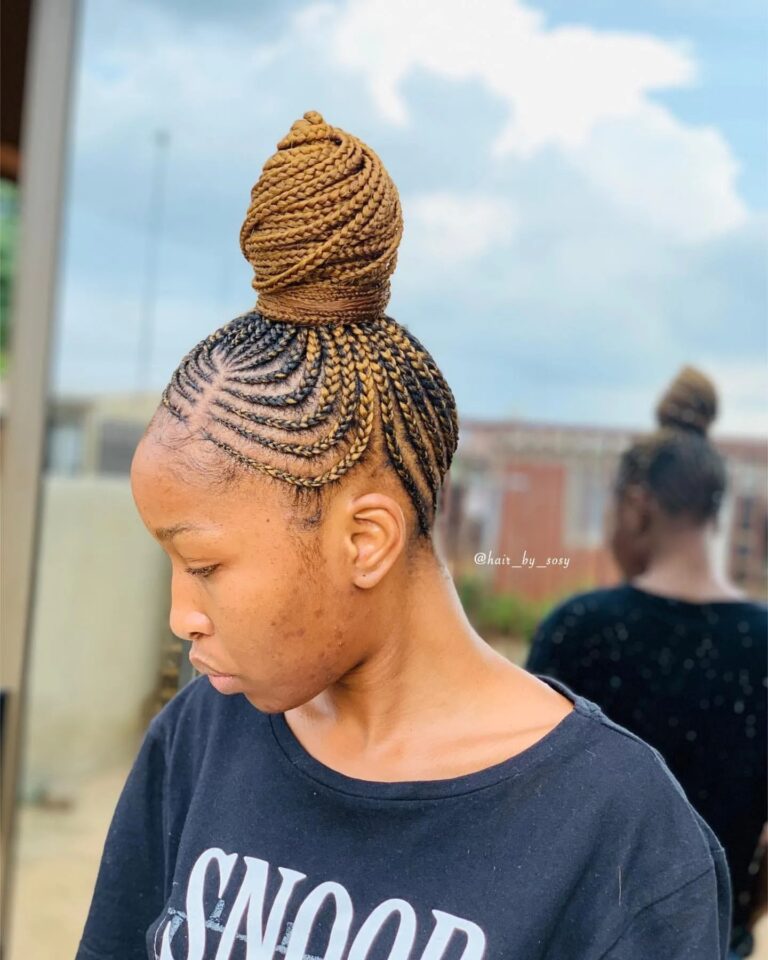 Elevate Your Hairstyle: 55+ Braided Updos for a Timeless Elegance