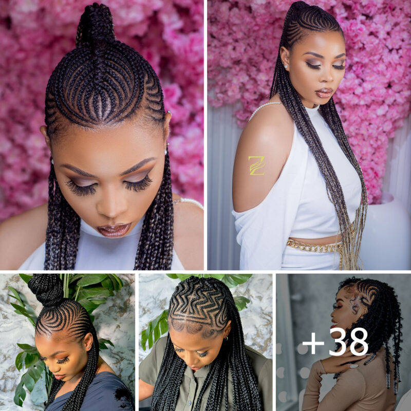 Gorgeous Braided Hairstyles for Black Hair: A Wide Selection
