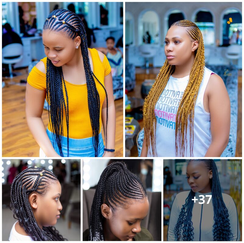 37 Braids Hairstyles For All Hair Types