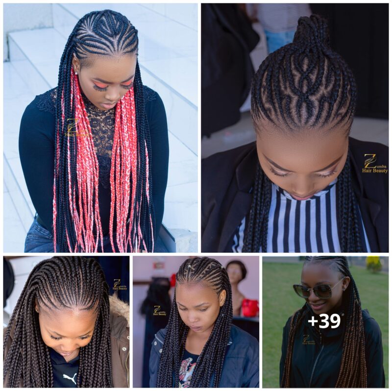 +39 Gorgeous Braided Hairstyles for a New Look in 2024