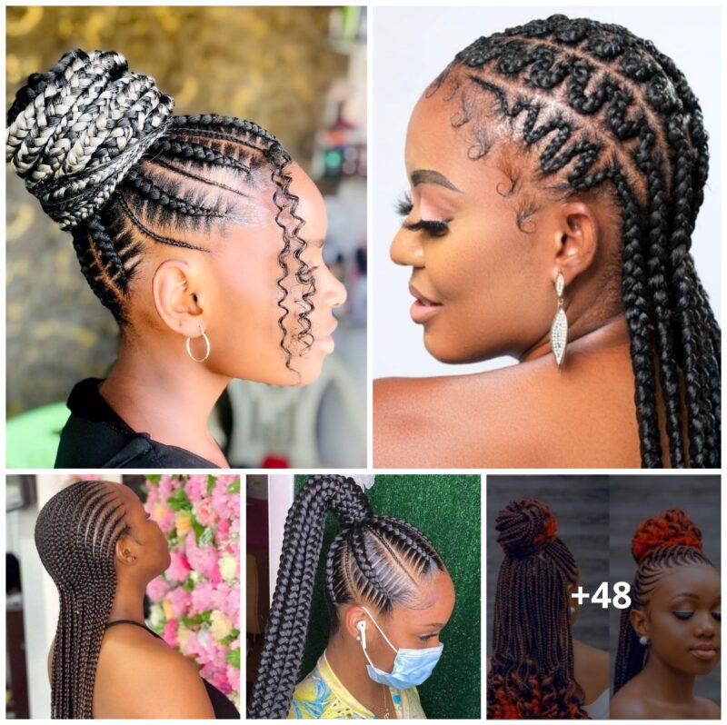 48 Chic Braided Hairstyles for a Stylish Look
