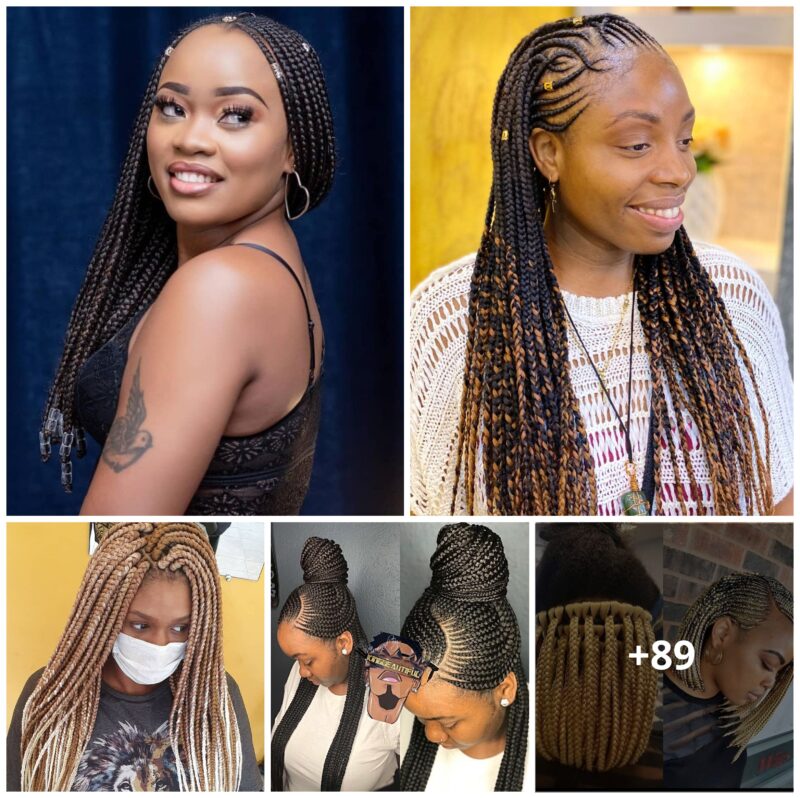 89 Fabulous Black Braided Styles to Turn Heads