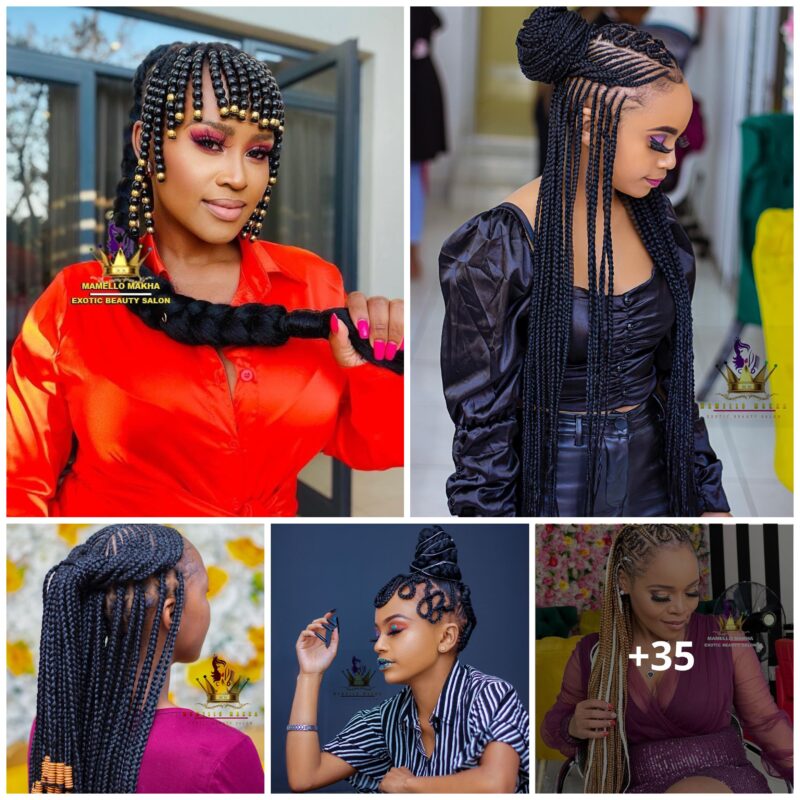 Stylish Recent Braided Hairstyles You Should Consider, Volume 35