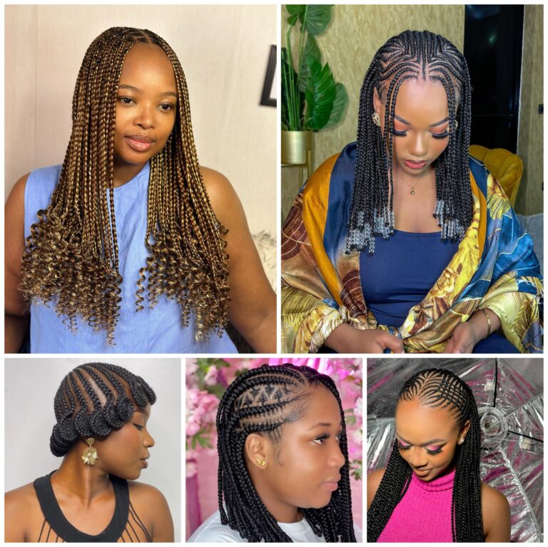 Chic braided styles with a mix of box braids and cornrows, offering elegance and versatility.