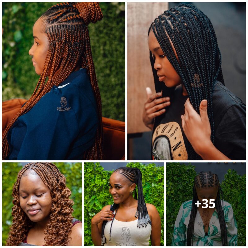 Stunning Braided Hairstyles and African Braids to Show Your Braider
