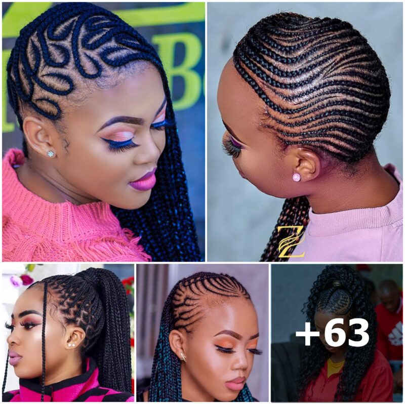 Captivating Braids: Stylish Hairstyle Ideas for Women