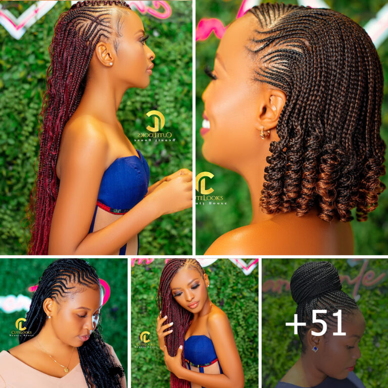 Braided Hairstyles 2025 Pictures