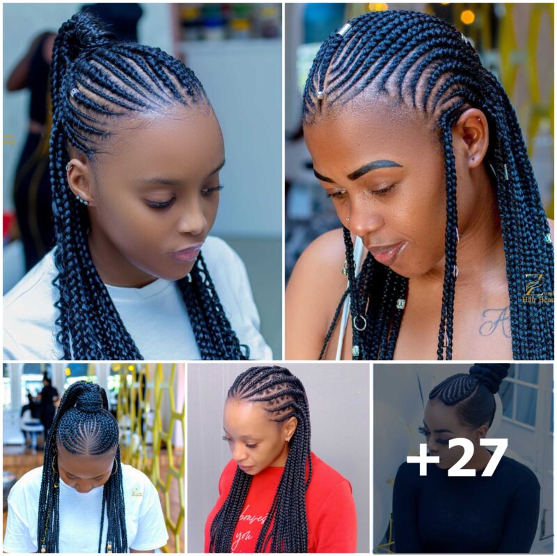 27 PHOTOS: Professional Braided Hairstyles For Ladies