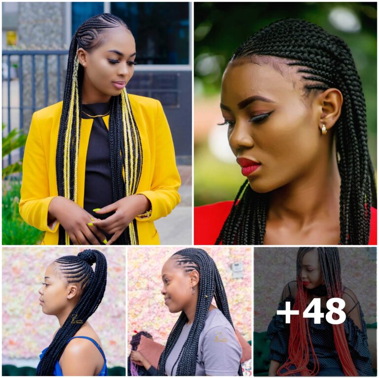 Stylish Recent Braided Hairstyles You Should Consider, Volume 22