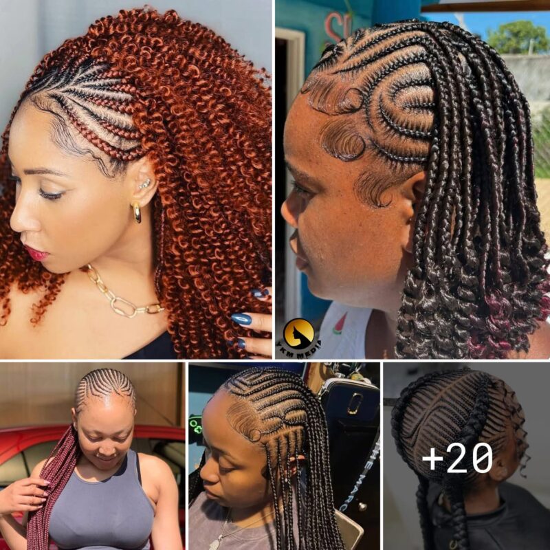 20 PHOTOS: Premium braided hairstyles with highlights