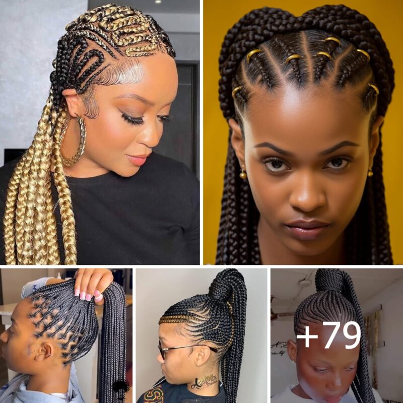 79+ Captivating Braided Hairstyles of 2025